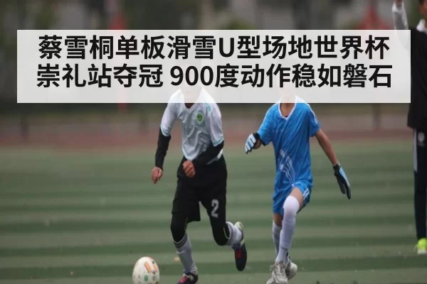 蔡雪桐单板滑雪U型场地世界杯崇礼站夺冠 900度动作稳如磐石（NG28）